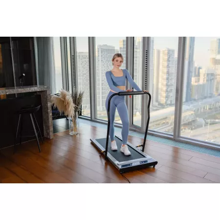Беговая дорожка 
					UNIX Fit R-300C Grey